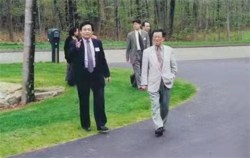 冰凌的无花果