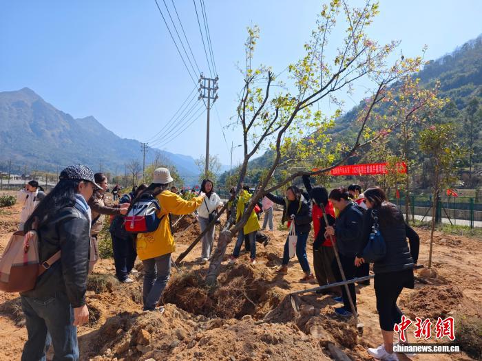 2026年榕台姐妹共植海峡巾帼林活动在福州罗源举行