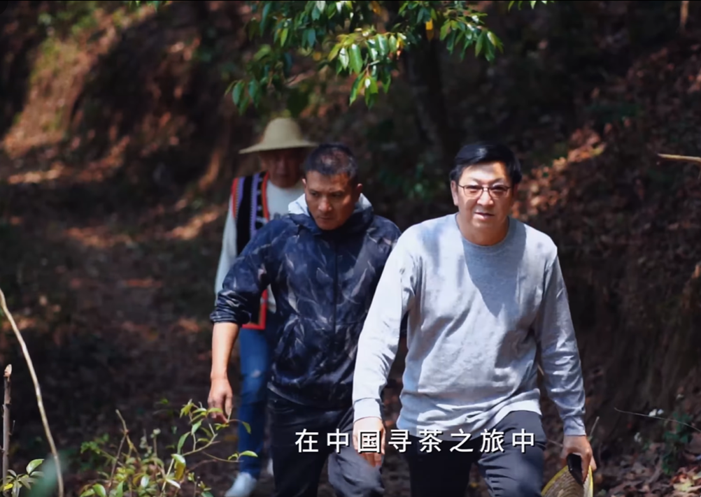 从一场茶博会的意外相遇 到大山深处的一条长期路径 ——访马来西亚农业科技人许宏谦