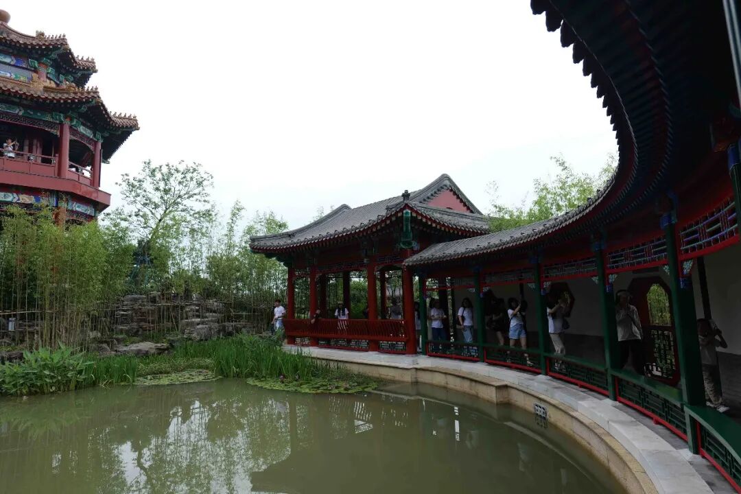 法国华裔青年解锁温州园博园，把家乡美景打包带回法国朋友圈